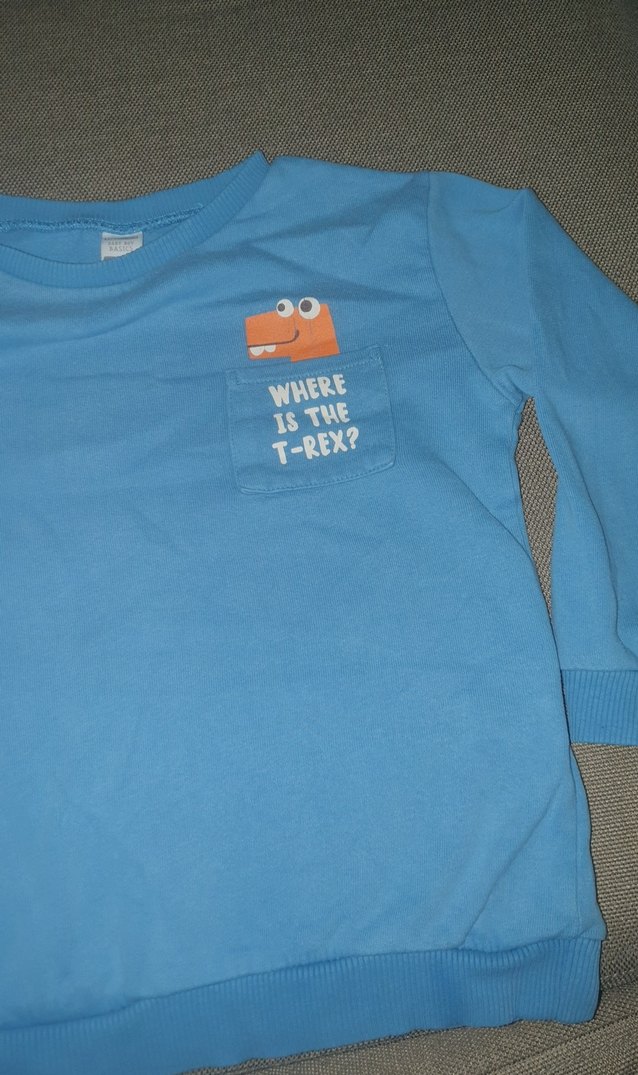 Mavi Erkek Çocuk Baskılı Sweatshirt - Görsel 4