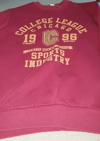 Erkek Bordo Bisiklet Yaka Sweatshirt - Görsel 3