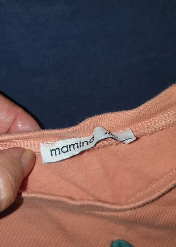 Renkli Desenli Pembe Erkek Sweatshirt - Görsel 3