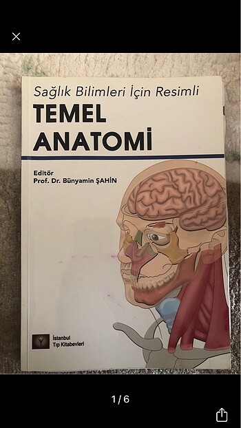 Temel anatomi Bünyamin Şahin