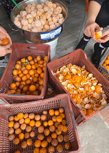 Bordo Süet Düğmeli Kadın Kumaş Pantolon - Görsel 9