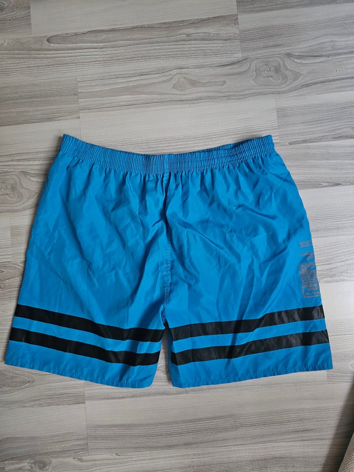 Mavi Erkek Deniz Şortu - Görsel 2