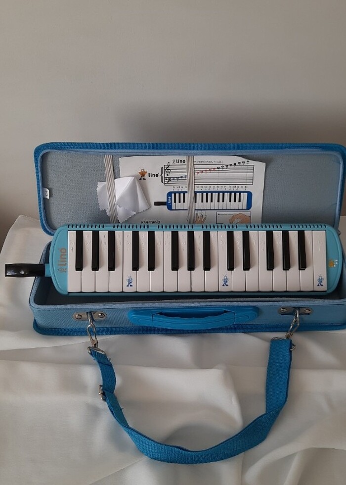 Melodika - Görsel 4