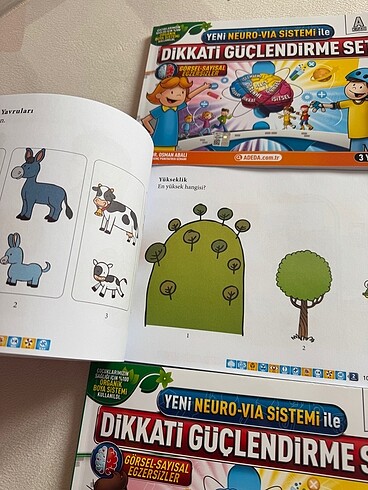  Beden Dikkat güçlendirme seti