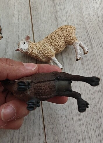  Beden Renk Schleich Hayvanlar