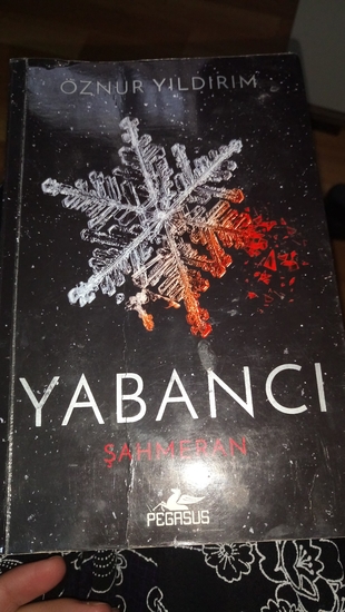 yabancı kitap