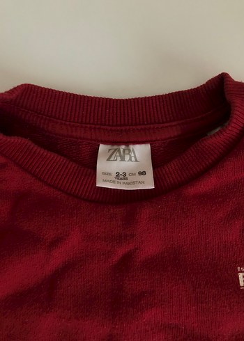 2-3 Yaş Erkek Çocuk Sweatshirt - Görsel 3