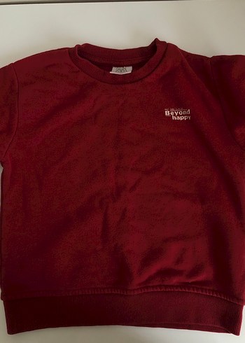 2-3 Yaş Erkek Çocuk Sweatshirt - Görsel 2