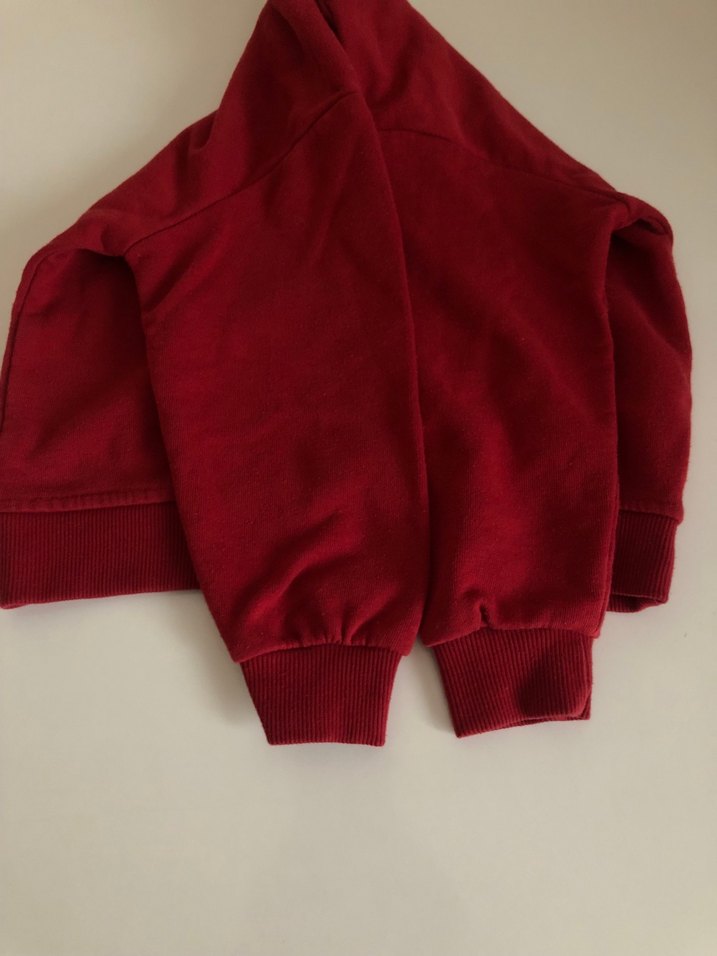 2-3 Yaş Erkek Çocuk Sweatshirt - Görsel 4