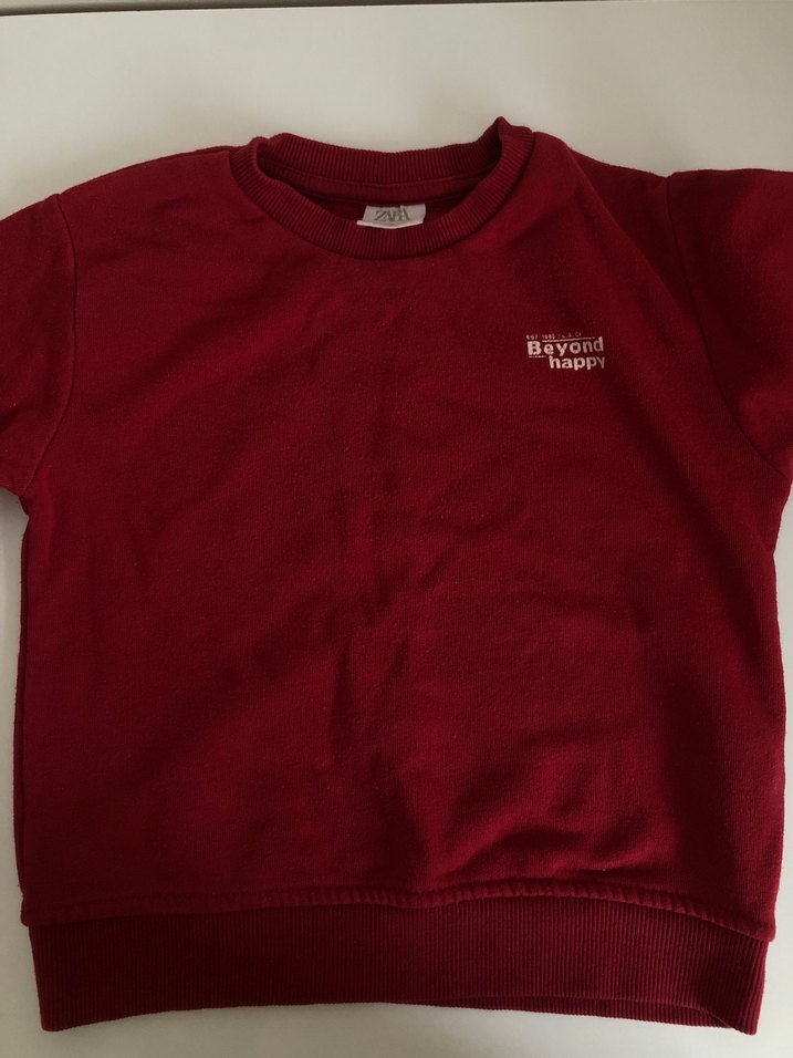 2-3 Yaş Erkek Çocuk Sweatshirt - Görsel 2