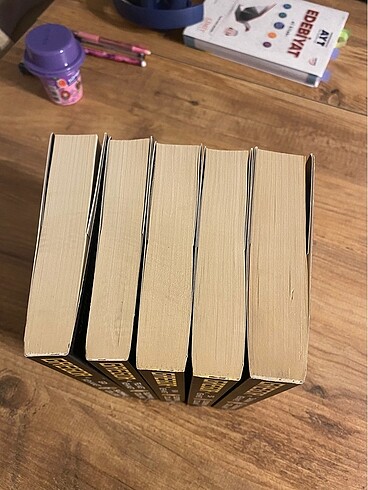Beden Gregor ve Kehanetleri Kitap Serisi