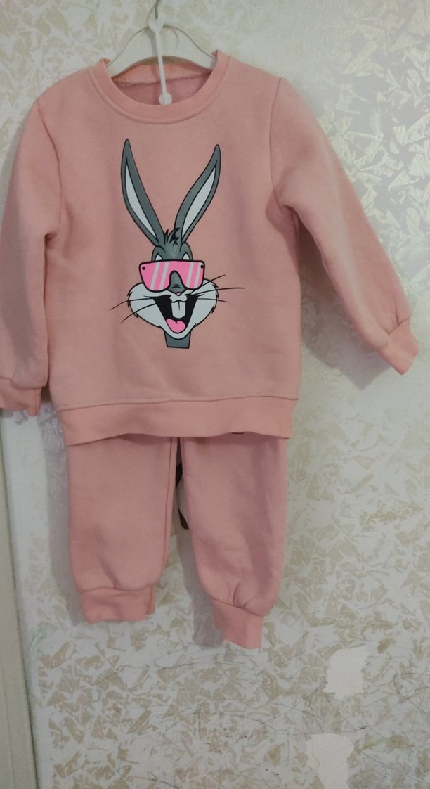 Pembe Bebek Kız Uzun Kollu Baskılı Takım - Görsel 2