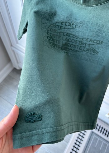Lacoste Erkek Çocuk Lacoste tişört