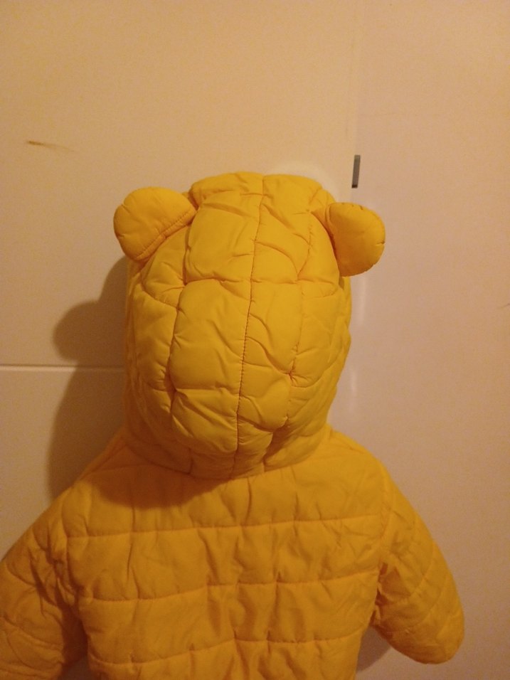 Kapüşonlu Sarı Erkek Çocuk Mont - Görsel 5