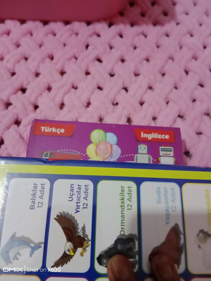 İlk 120 Sözcüğüm - İngilizce ve Türkçe Kitap - Görsel 4