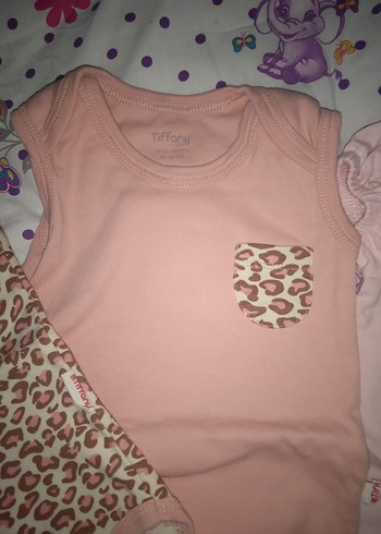 1,5 Yaş Beden Kolsuz Bebek Kız Çıtçıtlı Body Seti