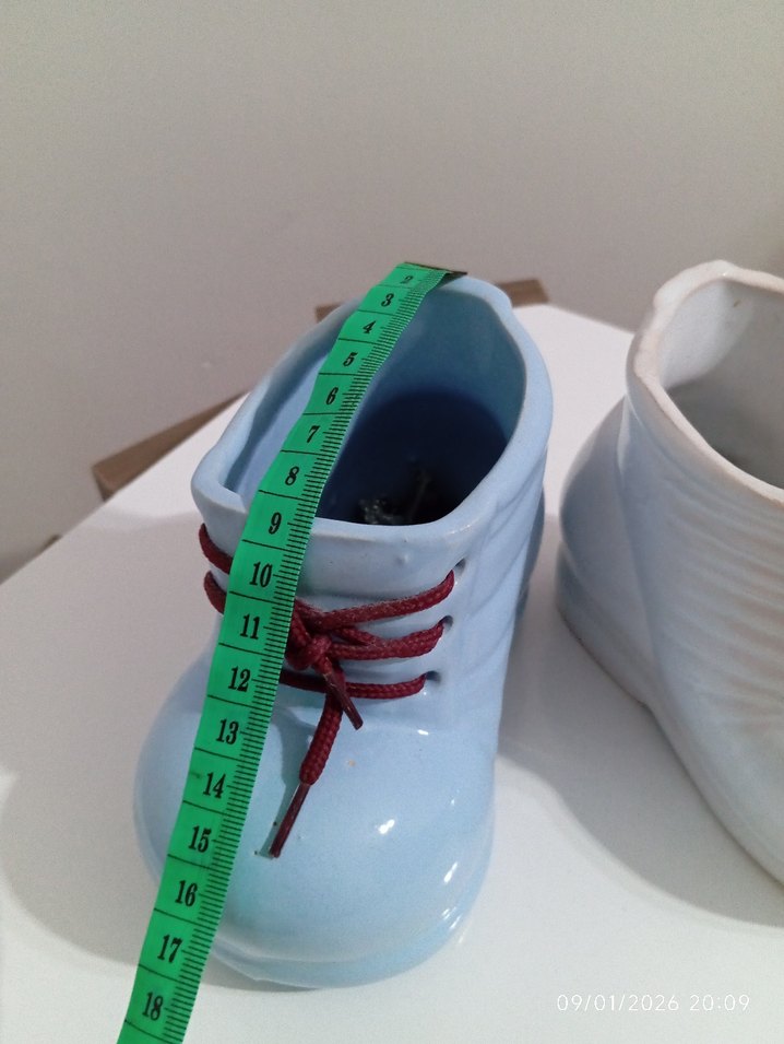 Ayakkabı Saksı - Görsel 3