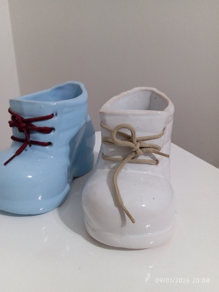 Ayakkabı Saksı - Görsel 2