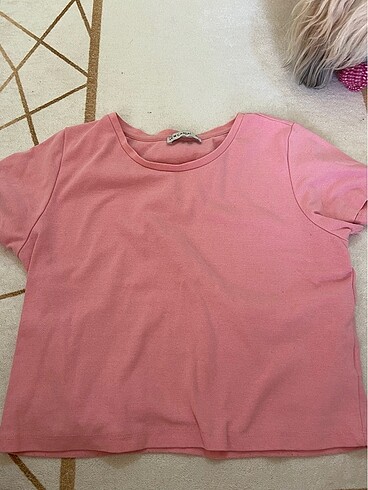 xl Beden Lc w pembe crop