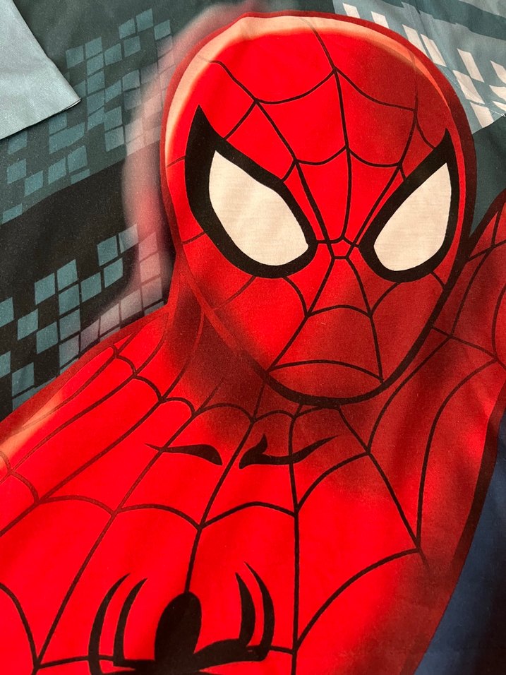 Erkek Çocuk Kırmızı Örümcek Adam Baskılı Tişört - Görsel 4