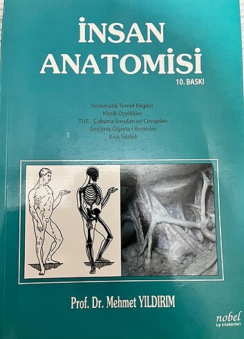 İnsan Anatomisi