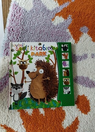 Sesli kitap