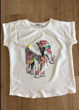 Filli tshirt