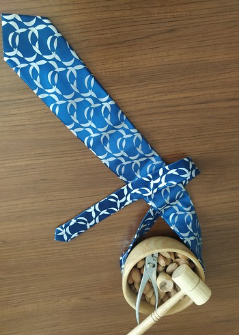 #Pierre Cardin Parlak Mavi Desenli Erkek Kravat - Görsel 4