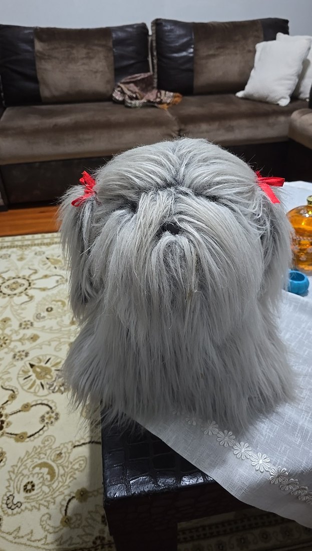 Gri Tüy Detaylı Bağcıklı Köpek Kıyafeti - Görsel 2