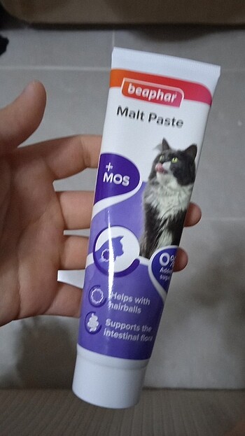 Kedi malt'ı