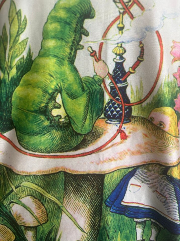 Alice in wonderland Baskılı Drapeli Kadın Atlet - Görsel 3