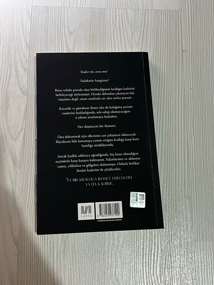 Yıldızlar ve Gölgeler Krallığı Romanı - Görsel 2