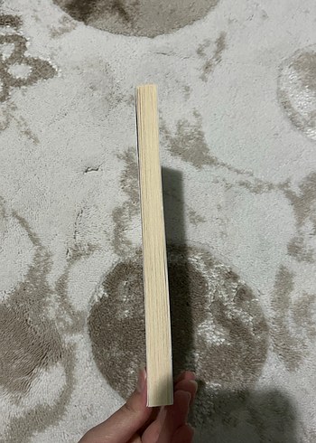 Denizin Çağrısı - Jack London - Görsel 2