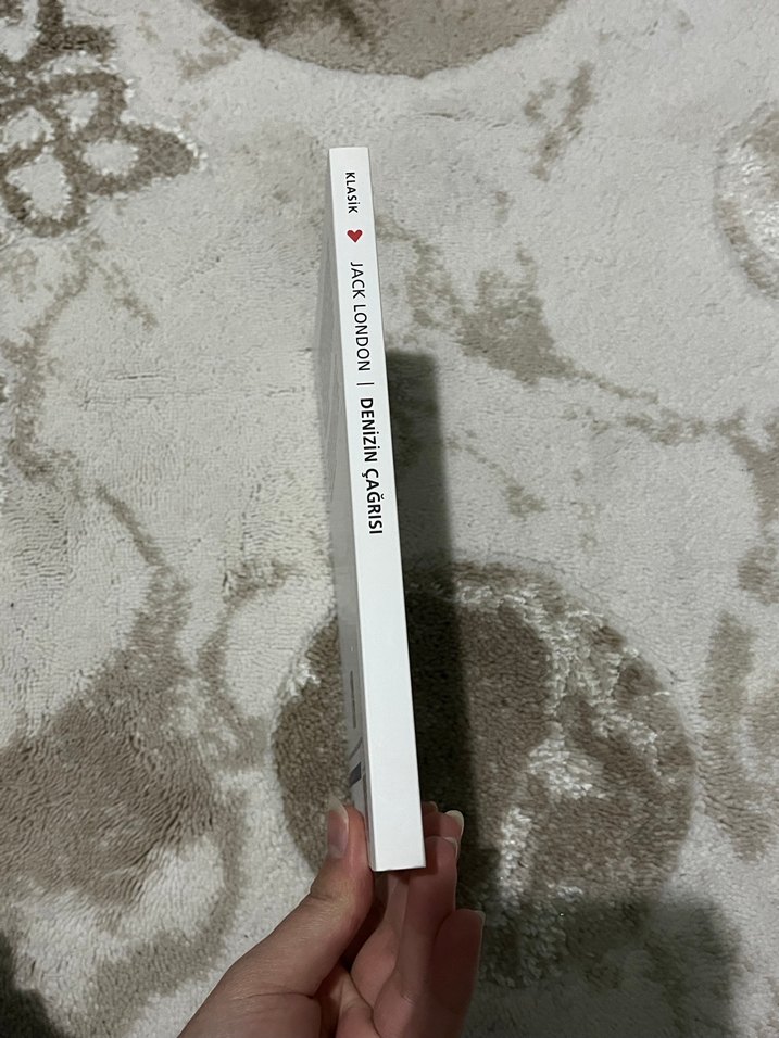 Denizin Çağrısı - Jack London - Görsel 4