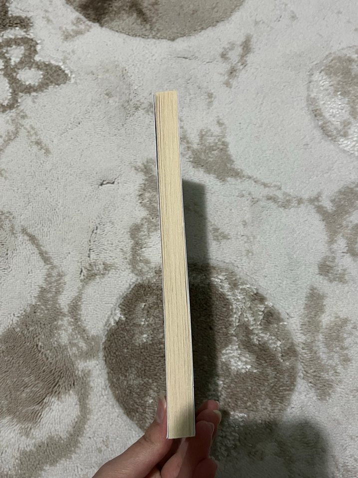 Denizin Çağrısı - Jack London - Görsel 2