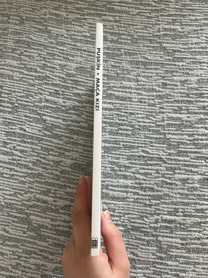 Puşkin - Maça Kızı Roman - Görsel 4