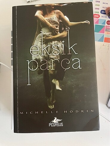  Beden Renk Mara dyer serisi (kutu set)