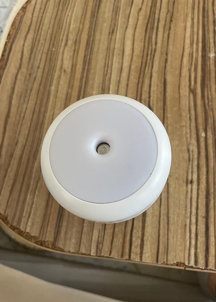 Buhar makinası arabada ve evde kullanılır - Görsel 2