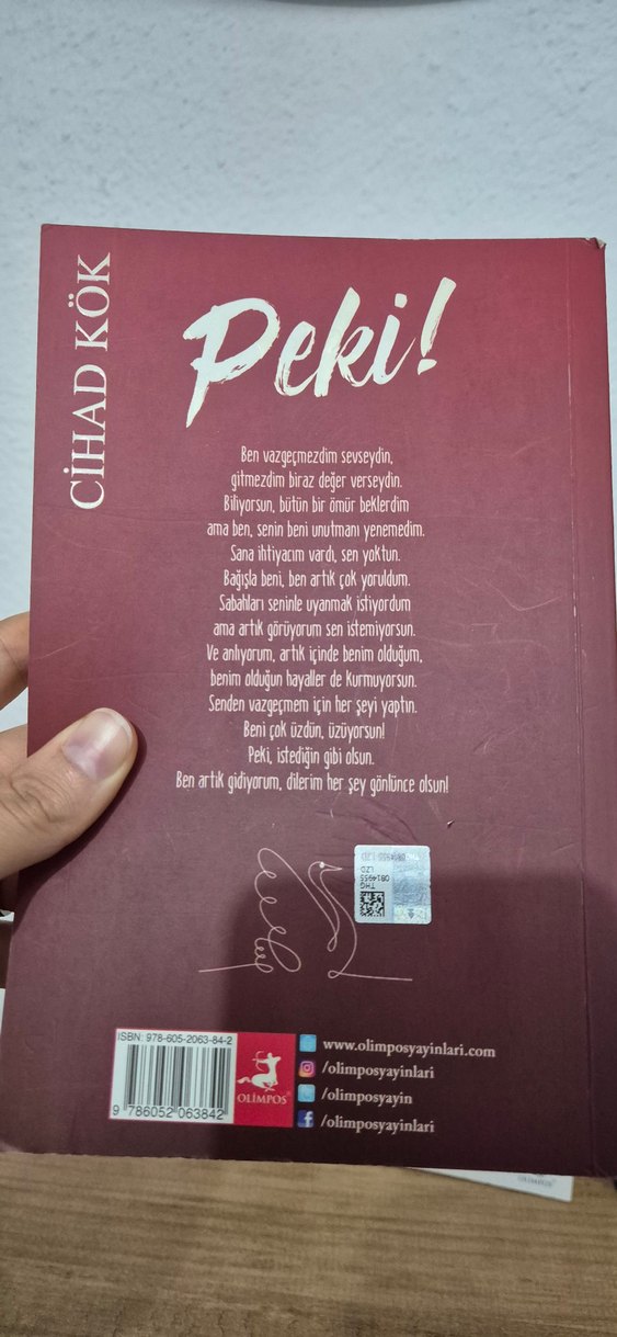 Nasip Niyete Vurgundur - Ethem Emin Nemutlu - Görsel 2