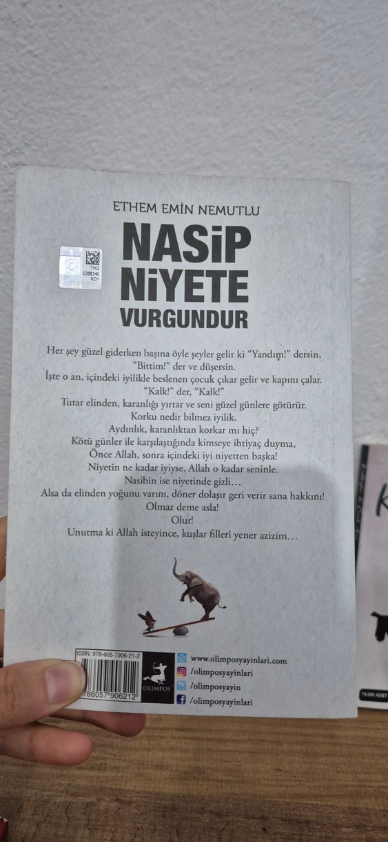 Nasip Niyete Vurgundur - Ethem Emin Nemutlu - Görsel 3