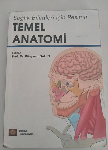  Beden Renk Temel hemşirelik ve anatomi 