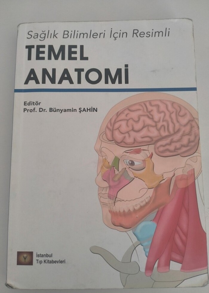 Temel hemşirelik ve anatomi  - Görsel 4