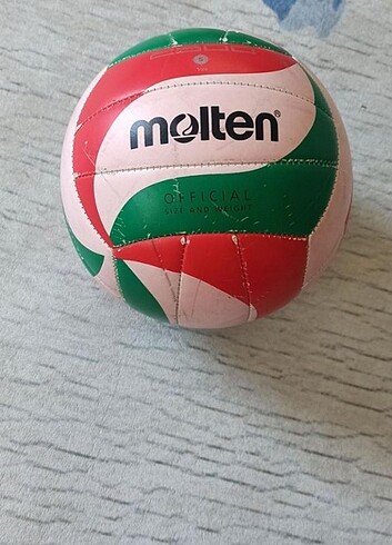 Molten voleybol 