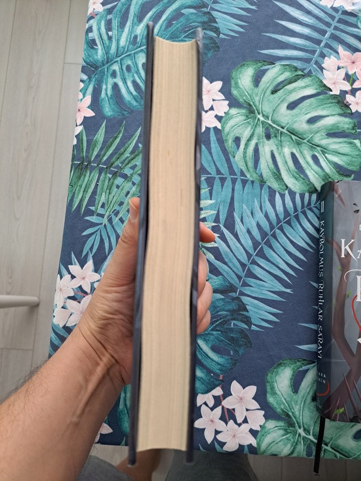 Kaybolmuş Ruhlar Sarayı I ve II - Görsel 2