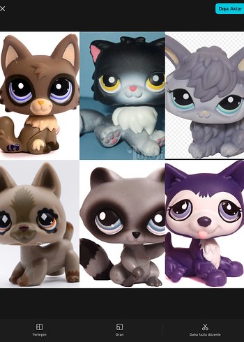 LPS ARIYORUM!!