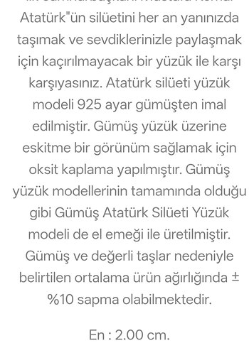 Erkek Siyah Gri Yüzük gümüş - Görsel 4