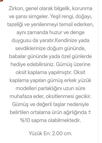 Bohem Tarzı Erkek Turkuaz Yüzük gümüş - Görsel 5