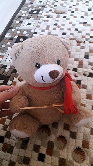 Pelus ayi