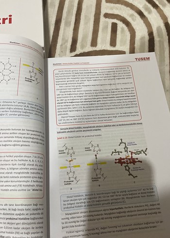 TUSEM Biyokimya Sınav Hazırlık Kitabı - Görsel 2