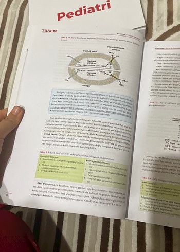 TUSEM Biyokimya Sınav Hazırlık Kitabı - Görsel 3